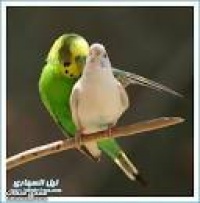Images3fqtbn3aANd9GcSFYgHpj40QfXbOFNCE8QAFkewGSSa55sSAm 31kkBiI37HhzEdOyFmSmKQnw
